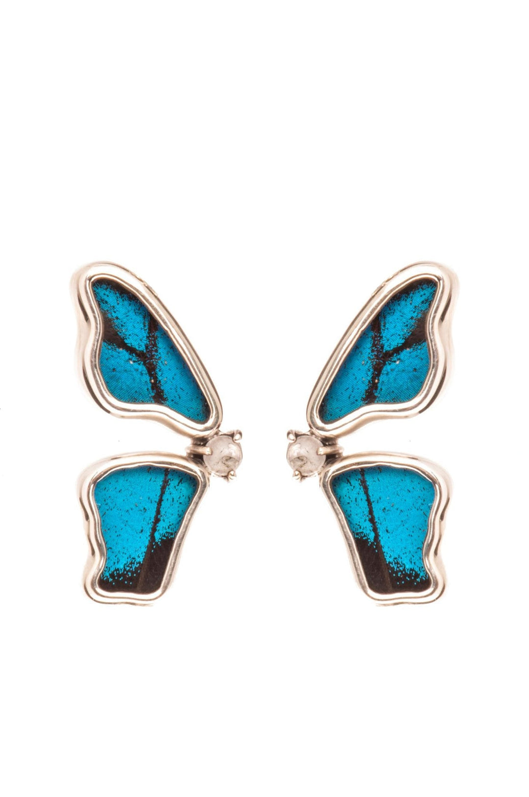 1-Real Butterfly Wings-A-2D-5F-Silver-butterfly-earrings-with-blue-topaz-birthstone-Royal-Blue-half-Papilio-Ulysses