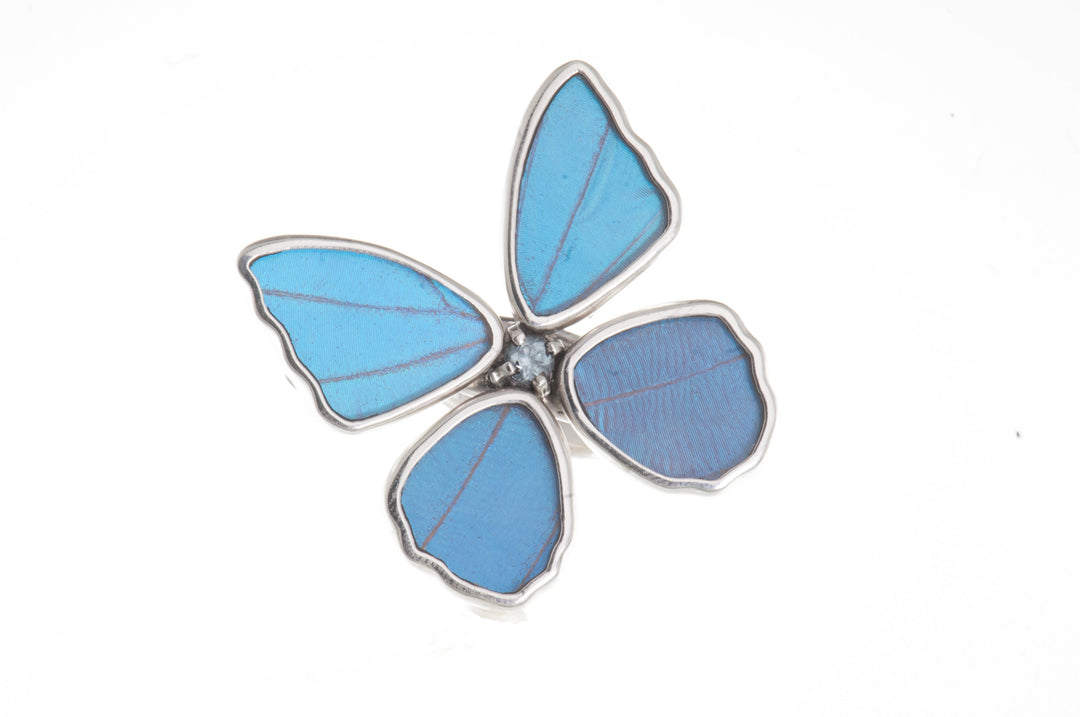 1-Real Butterfly Wings-A-4D-4F-Silver-butterfly-ring-with-blue-topaz-birthstone-Iridescent-Blue-Morpho-Didius