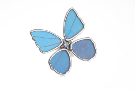 1-Real Butterfly Wings-A-4D-4F-Silver-butterfly-ring-with-blue-topaz-birthstone-Iridescent-Blue-Morpho-Didius