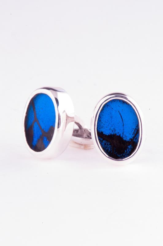 2--A-SA-O1-Silver-butterfly-cufflinks-Royal-Blue-Oval-Papilio-Ulysses