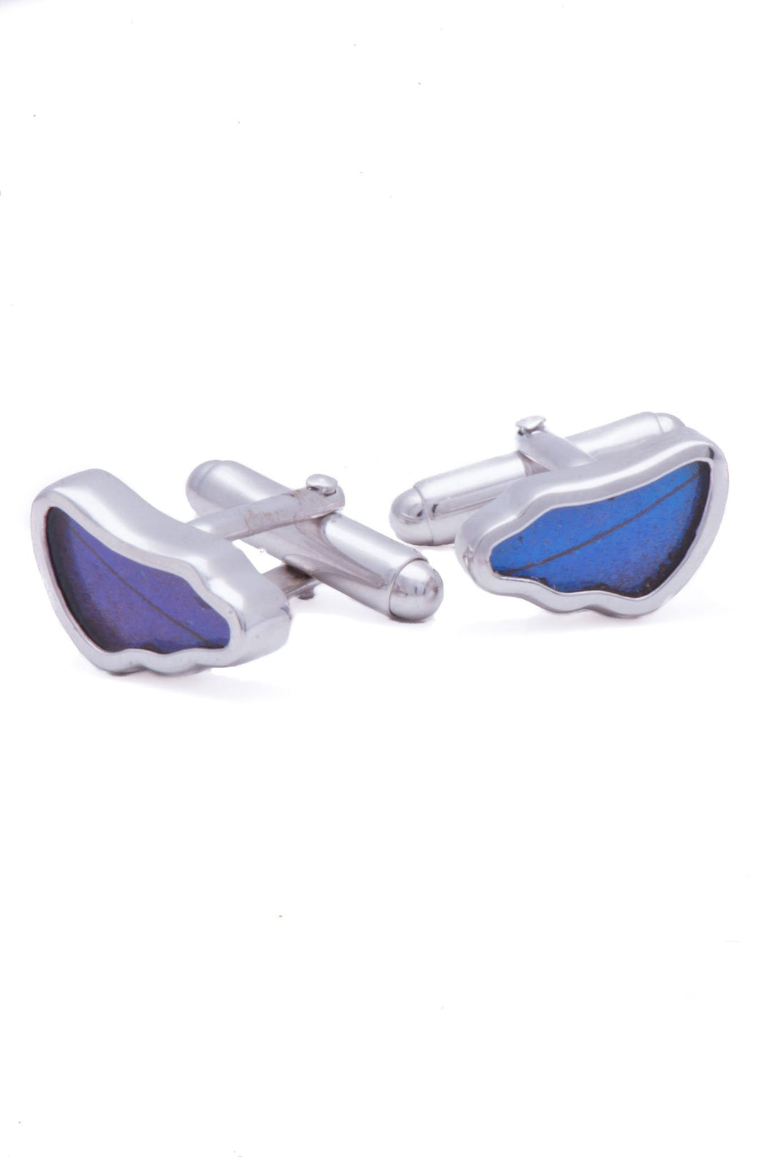 1-Real Butterfly Wings-A-SA-3B-Silver-butterfly-cufflinks-Iridescent-Blue-Wing-Shaped-Morpho-Didius