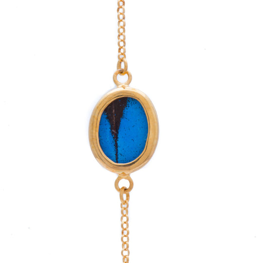 1-Real Butterfly Wings-A-SC-O1-Gold-butterfly-bracelet-Royal-Blue-Oval-Papilio-Ulysses