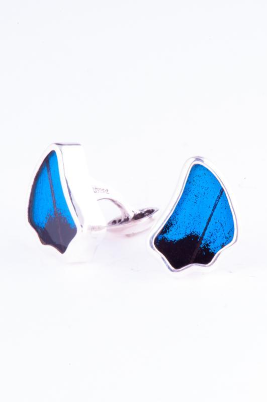 2--A-SA-1B-Silver-butterfly-cufflinks-Royal-Blue-Wing-Shaped-Papilio-Ulysses