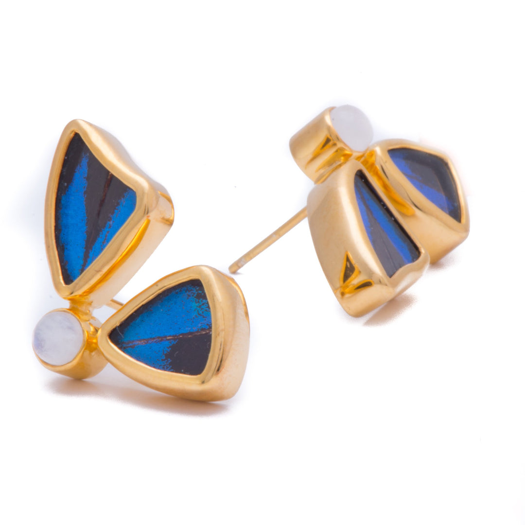 11--A-2D-2F-Gold-butterfly-earrings-with-blue-topaz-birthstone-Royal-Blue-half-Papilio-Ulysses