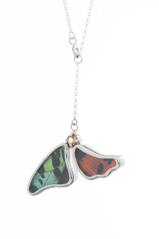 2--A-2B-3F-Silver-butterfly-necklace-with-citrine-birthstone-Shimmering-Rainbow-Green-half-Chrysiridia-Madagascariensis