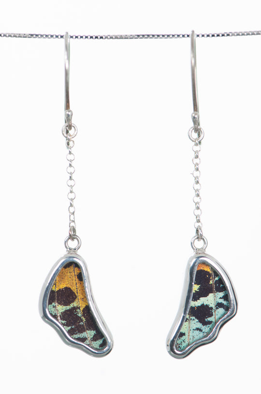 3--A-SB-3B-Silver-butterfly-earrings-Shimmering-Rainbow-Wing-Shaped-Chrysiridia-Madagascariensis-Bottom-wing