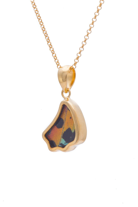 2--A-SB-1B-Gold-butterfly-pendant-Shimmering-Rainbow-Wing-Shaped-Chrysiridia-Madagascariensis-Bottom-wing
