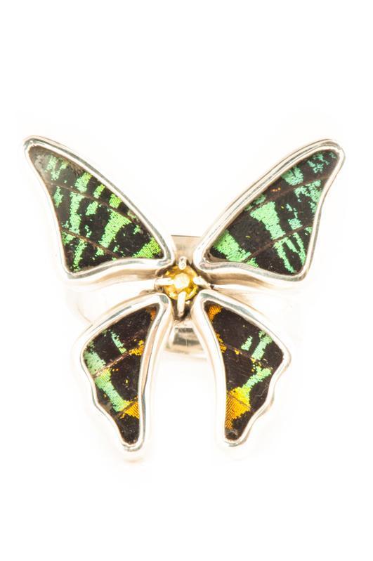 1-Real Butterfly Wings-A-4D-3F-Silver-butterfly-ring-with-citrine-birthstone-Shimmering-Rainbow-Green-Chrysiridia-Madagascari