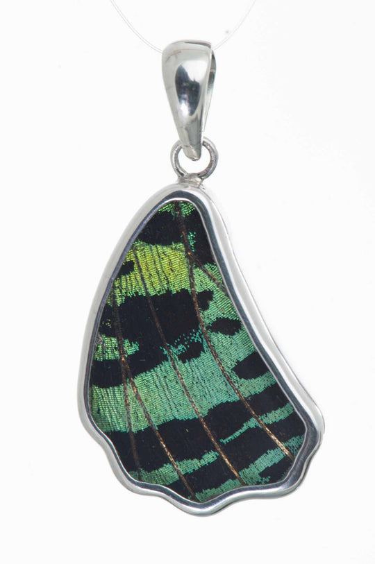 1-Real Butterfly Wings-a-sb-1b-silver-butterfly-pendant-shimmering-green-wing-shaped-chrysiridia-madagascariensis-top-wing