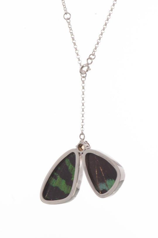 3--A-2B-6F-Silver-butterfly-necklace-with-citrine-birthstone-Shimmering-Rainbow-Green-half-Chrysiridia-Madagascariensis