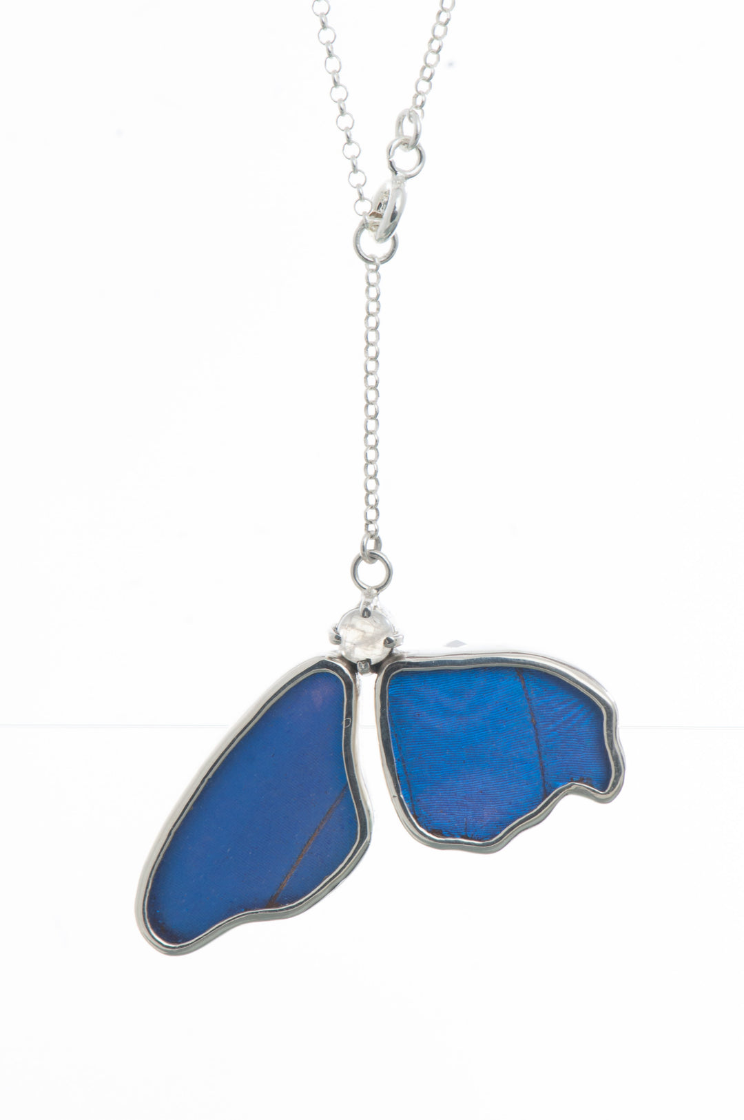 1-Real Butterfly Wings-A-2B-5F-Silver-butterfly-necklace-with-blue-topaz-birthstone-Iridescent-Blue-half-Morpho-Didius