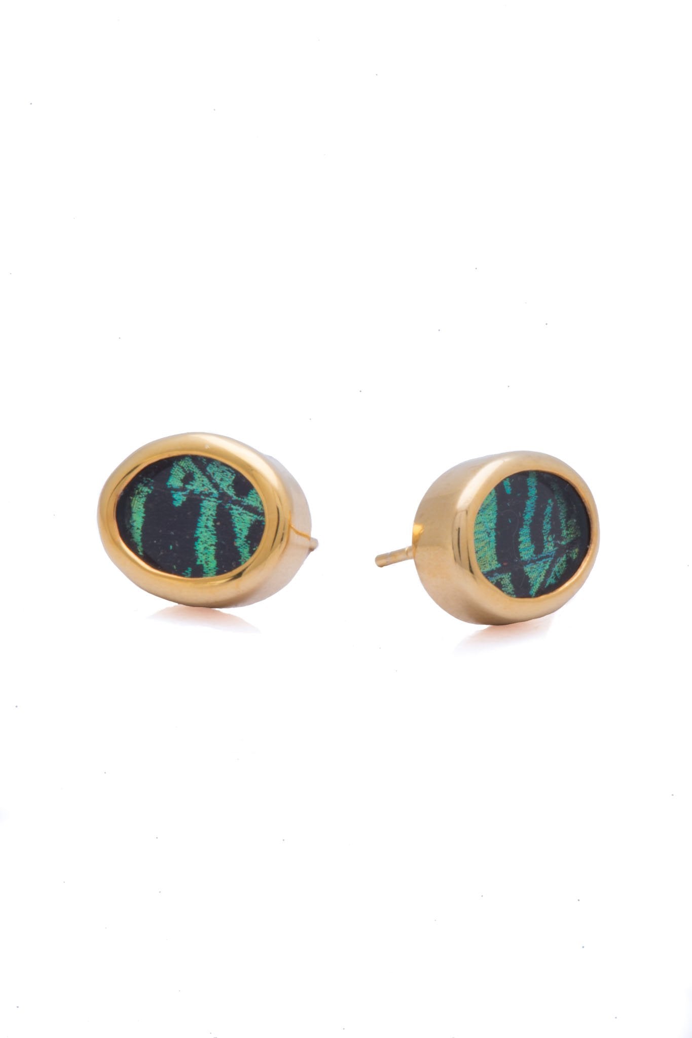 1-Real Butterfly Wings-A-SA-O1-Gold-butterfly-earrings-Shimmering-Green-Oval-Chrysiridia-Madagascariensis-Top-wing