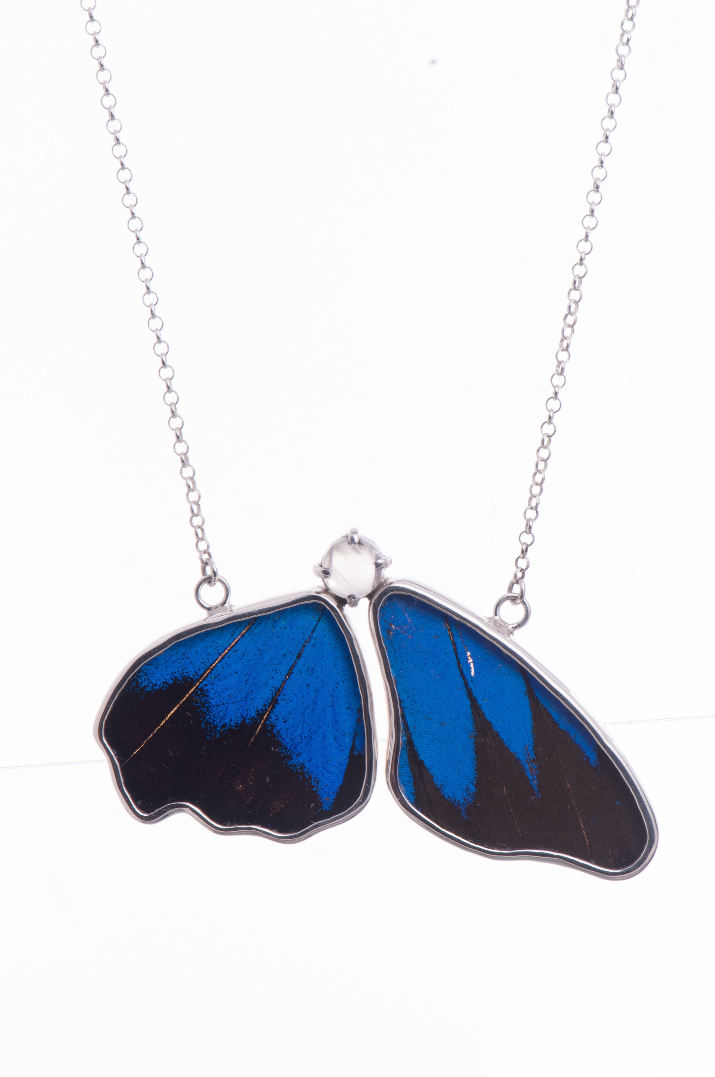 1-Real Butterfly Wings-A-2B-5F-Silver-butterfly-necklace-with-blue-topaz-birthstone-Royal-Blue-half-Papilio-Ulysses