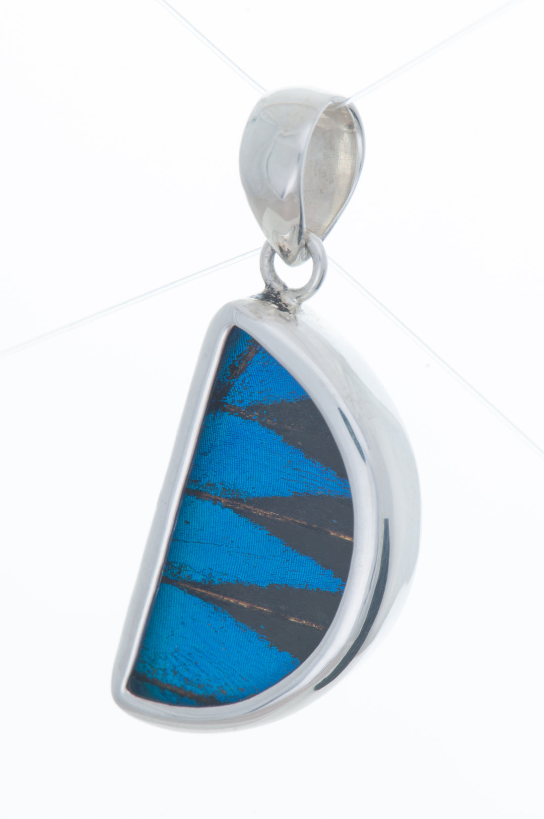 1-Real Butterfly Wings-a-sb-c2-silver-butterfly-pendant-royal-blue-half-circle-papilio-ulysses