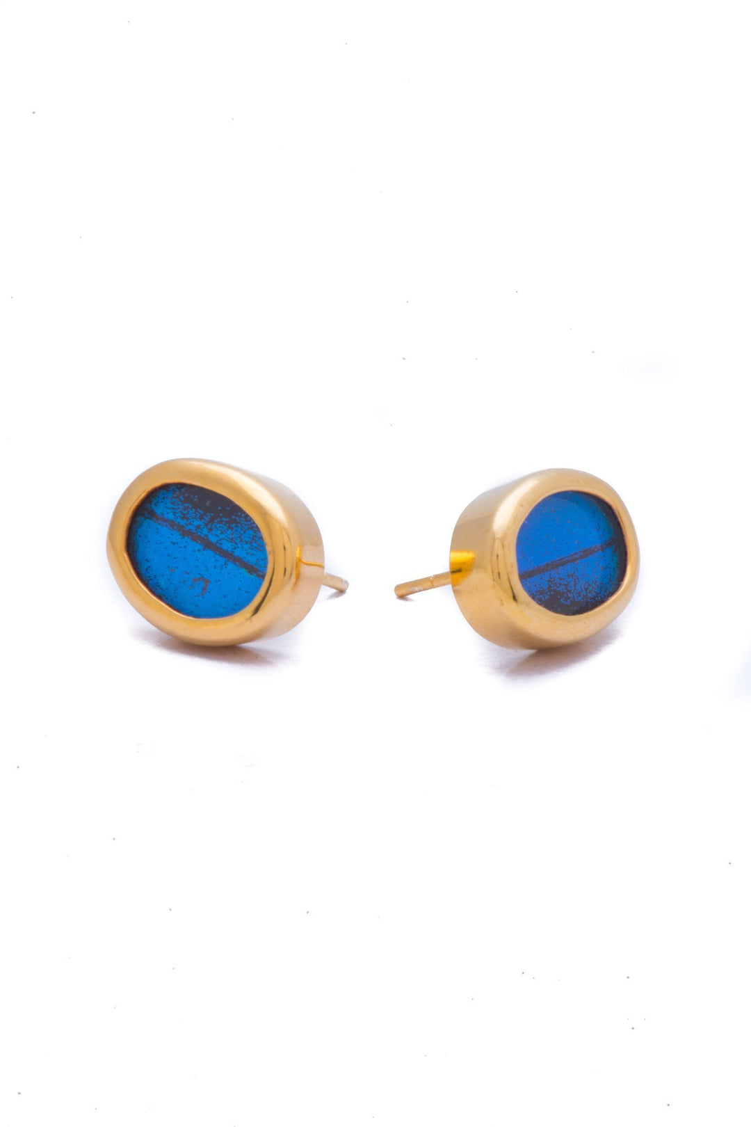 1-Real Butterfly Wings-A-SA-O1-Gold-butterfly-earrings-Royal-Blue-Oval-Papilio-Ulysses
