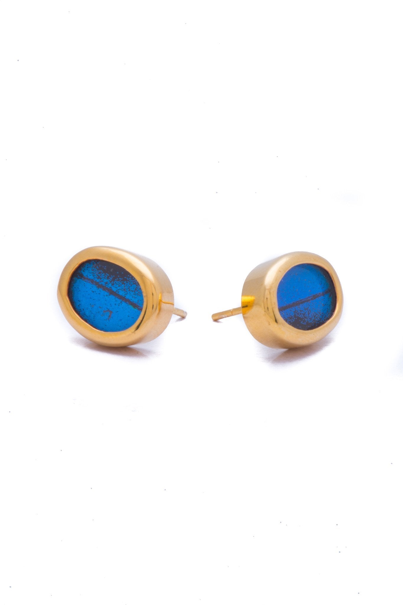 1-Real Butterfly Wings-A-SA-O1-Gold-butterfly-earrings-Royal-Blue-Oval-Papilio-Ulysses