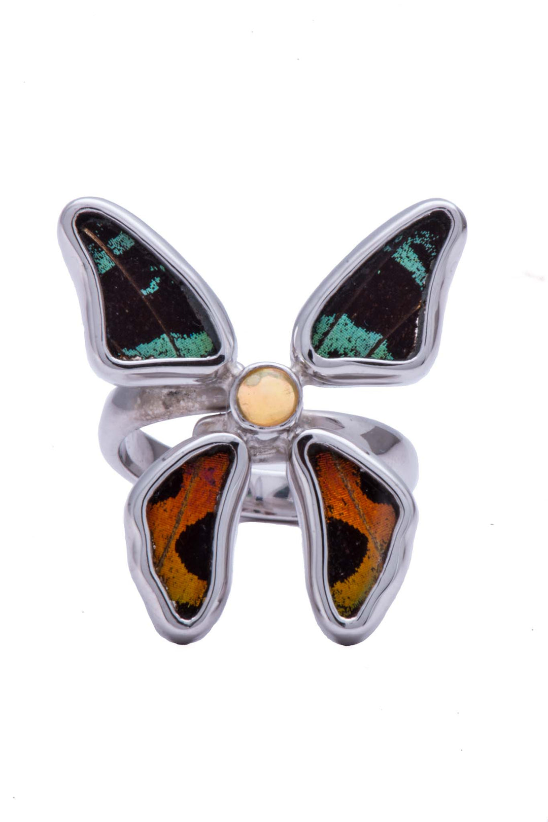 4--A-4D-3F-Silver-butterfly-ring-with-citrine-birthstone-Shimmering-Rainbow-Green-Chrysiridia-Madagascariensis