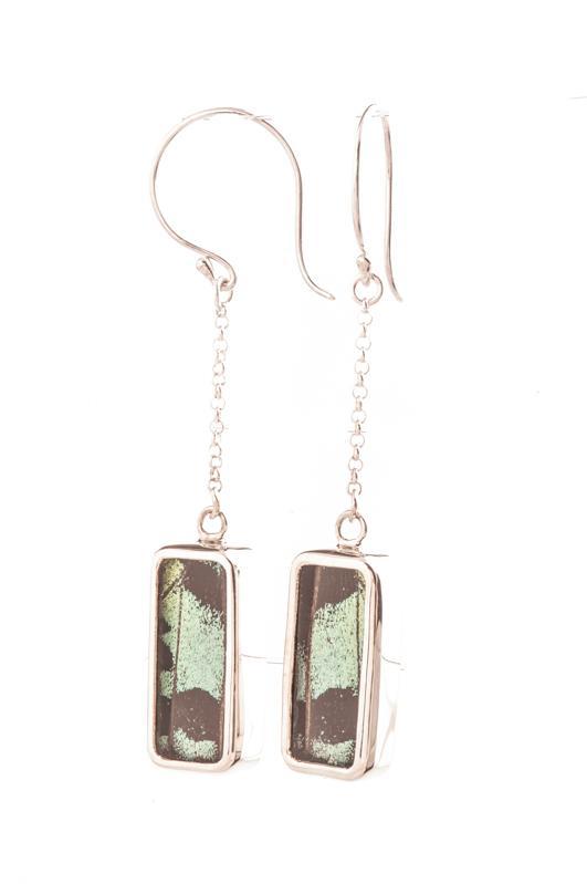 3--A-SB-R1-Silver-butterfly-earrings-Shimmering-Green-Rectangle-Chrysiridia-Madagascariensis-Top-wing