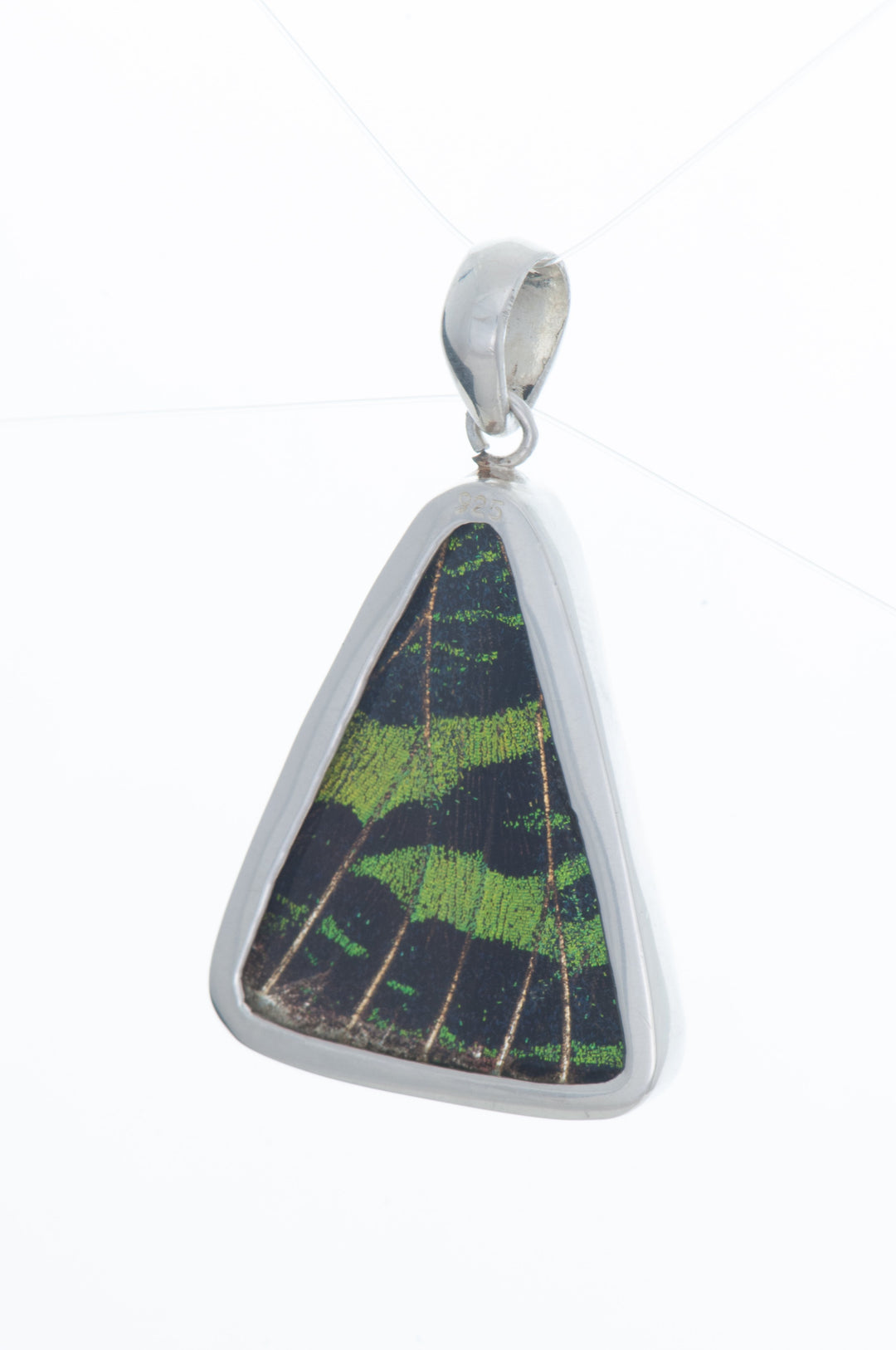 1-Real Butterfly Wings-A-SB-T2-Silver-butterfly-pendant-Shimmering-Green-Triangle-Chrysiridia-Madagascariensis-Top-wing