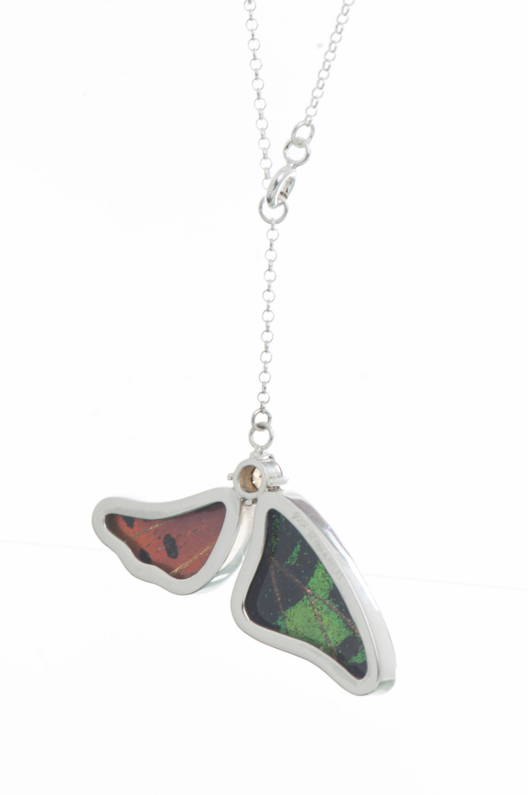 3--A-2B-3F-Silver-butterfly-necklace-with-citrine-birthstone-Shimmering-Rainbow-Green-half-Chrysiridia-Madagascariensis