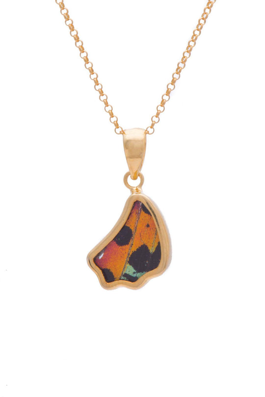 1-Real Butterfly Wings-A-SB-1B-Gold-butterfly-pendant-Shimmering-Rainbow-Wing-Shaped-Chrysiridia-Madagascariensis-Bottom-wing