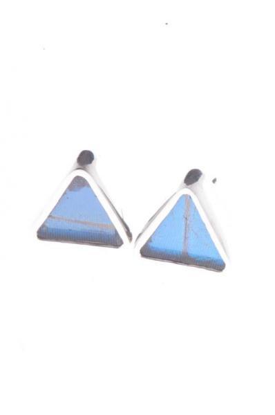 1-Real Butterfly Wings-A-SA-T1-Silver-butterfly-earrings-Iridescent-Blue-Triangle-Morpho-Didius