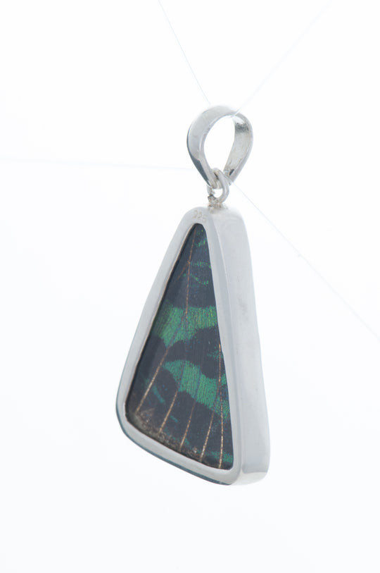 2--A-SB-T2-Silver-butterfly-pendant-Shimmering-Green-Triangle-Chrysiridia-Madagascariensis-Top-wing