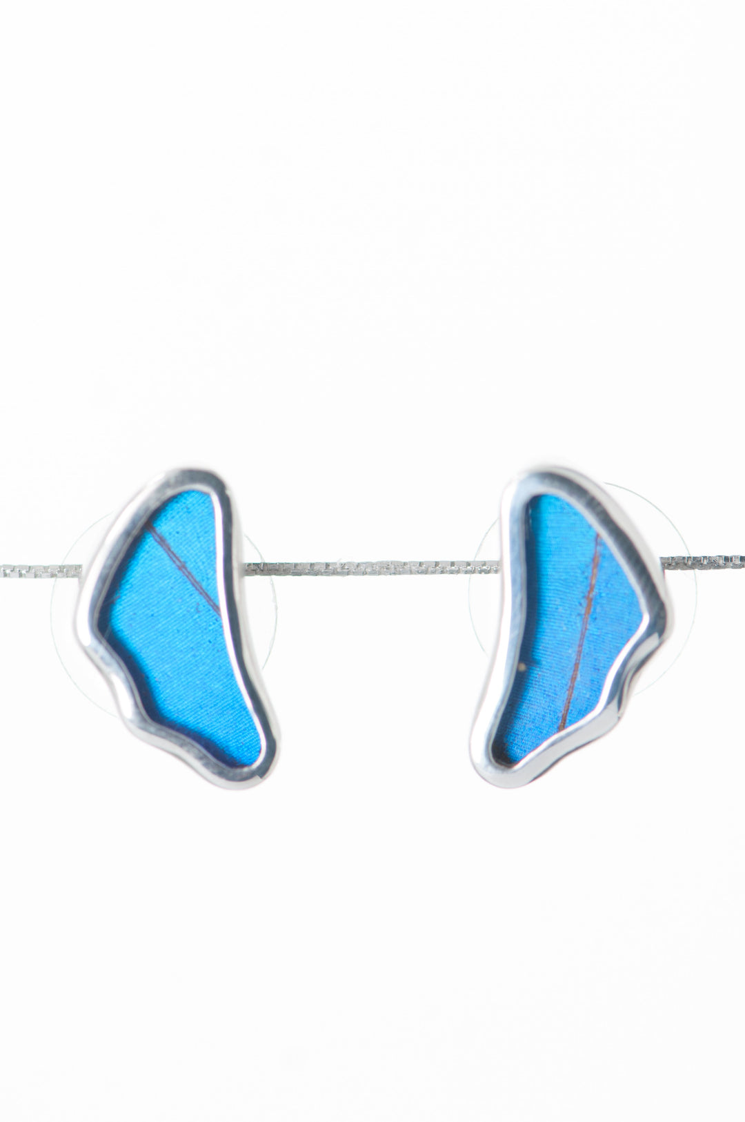 4--A-SA-3B-Silver-butterfly-earrings-Iridescent-Blue-Wing-Shaped-Morpho-Didius