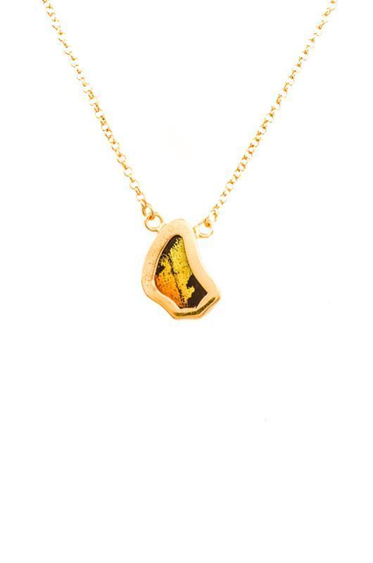 6--A-SC-1B-Gold-butterfly-necklace-Shimmering-Rainbow-Wing-Shaped-Chrysiridia-Madagascariensis-Bottom-wing