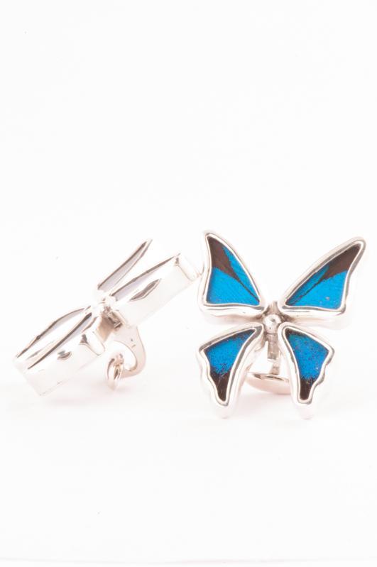 2--A-4C-3F-Silver-butterfly-cufflinks-Royal-Blue-Papilio-Ulysses