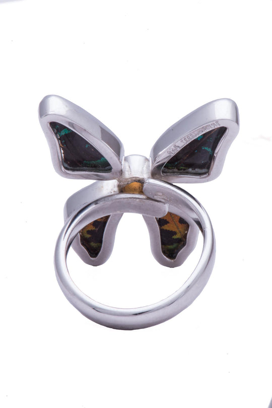 6--A-4D-3F-Silver-butterfly-ring-with-citrine-birthstone-Shimmering-Rainbow-Green-Chrysiridia-Madagascariensis