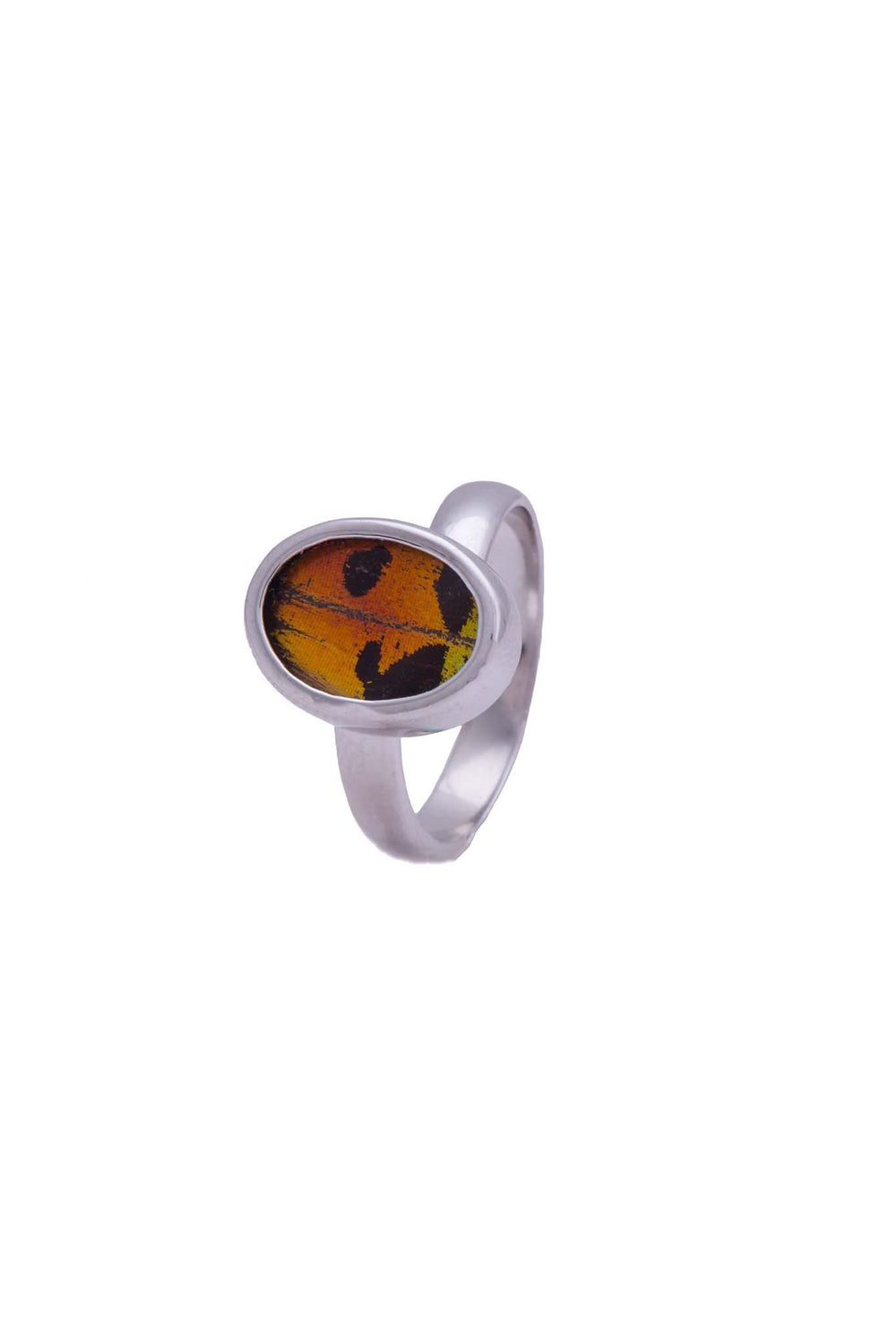 2--A-SA-O1-Silver-butterfly-ring-Shimmering-Rainbow-Oval-Chrysiridia-Madagascariensis-Bottom-wing