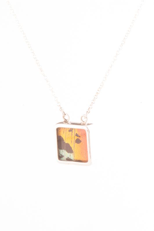 1-Real Butterfly Wings-A-SC-S1-Silver-butterfly-necklace-Shimmering-Rainbow-Square-Chrysiridia-Madagascariensis-Bottom-wing