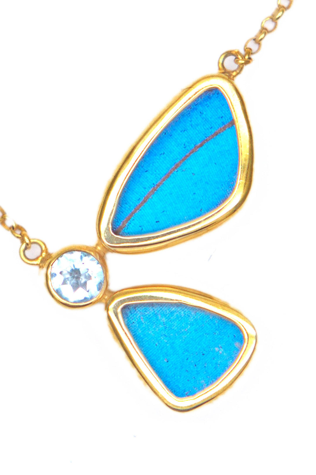 1-Real Butterfly Wings-A-2B-6F-Gold-butterfly-necklace-with-blue-topaz-birthstone-Iridescent-Blue-half-Morpho-Didius
