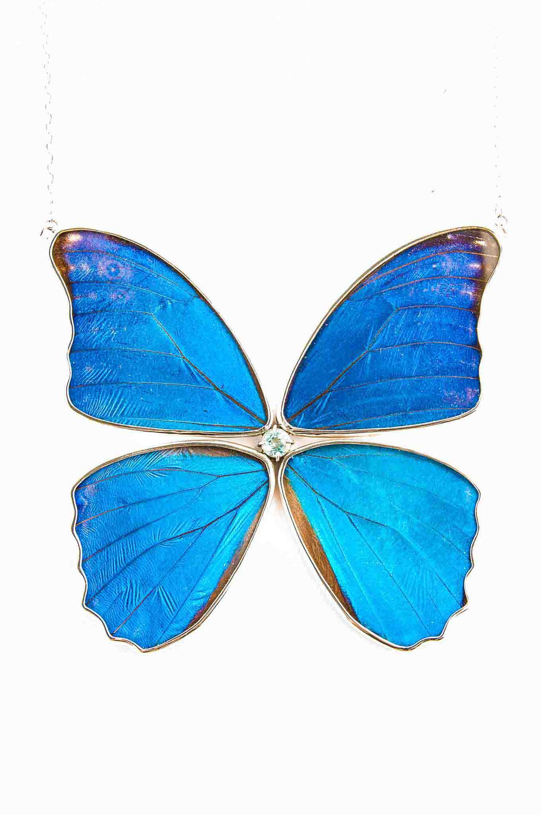 2--A-4B-NT-Silver-butterfly-necklace-with-blue-topaz-birthstone-Iridescent-Blue-Morpho-Didius