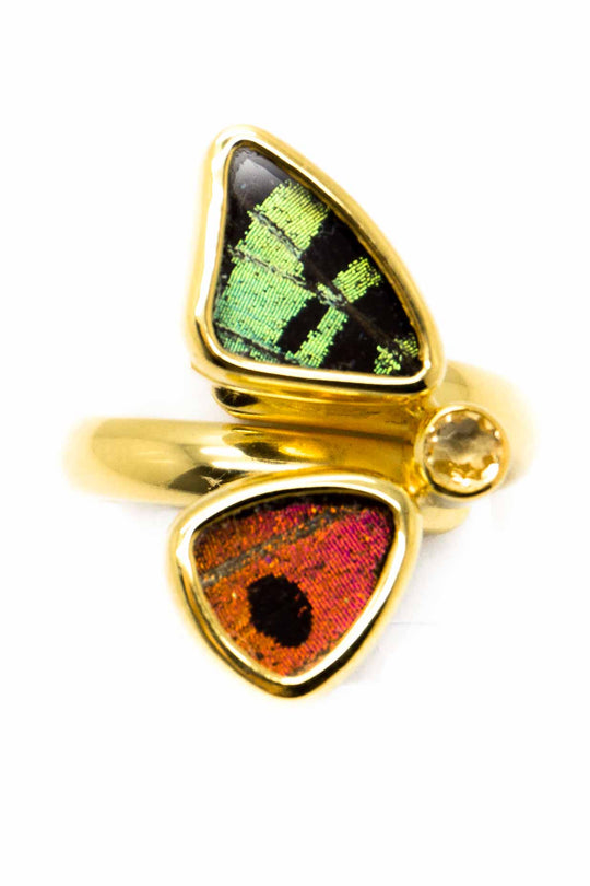 1-Real Butterfly Wings-A-2D-2F-Gold-butterfly-ring-with-citrine-birthstone-Shimmering-Rainbow-Green-half-Chrysiridia-Madagasc