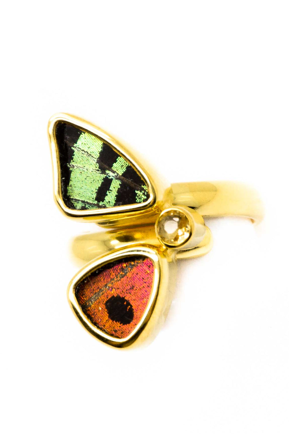 2--A-2D-2F-Gold-butterfly-ring-with-citrine-birthstone-Shimmering-Rainbow-Green-half-Chrysiridia-Madagascariensis