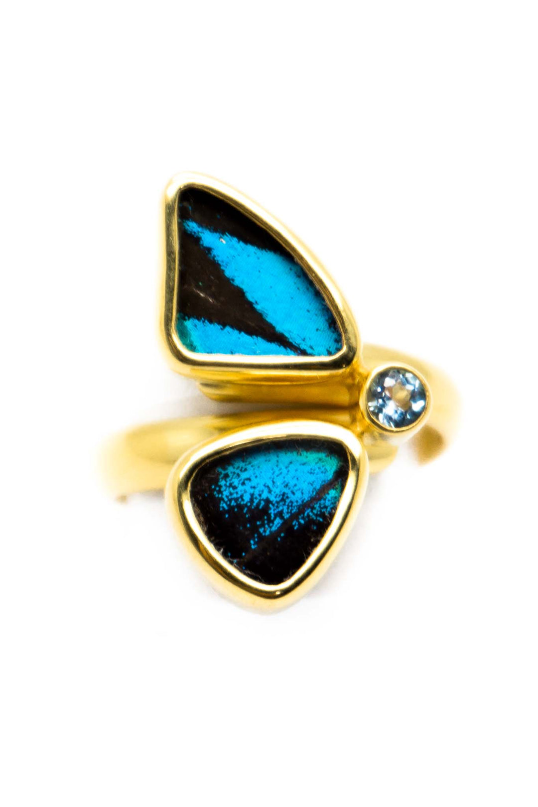 1-Real Butterfly Wings-a-2d-2f-gold-butterfly-ring-with-blue-topaz-birthstone-royal-blue-half-papilio-ulysses