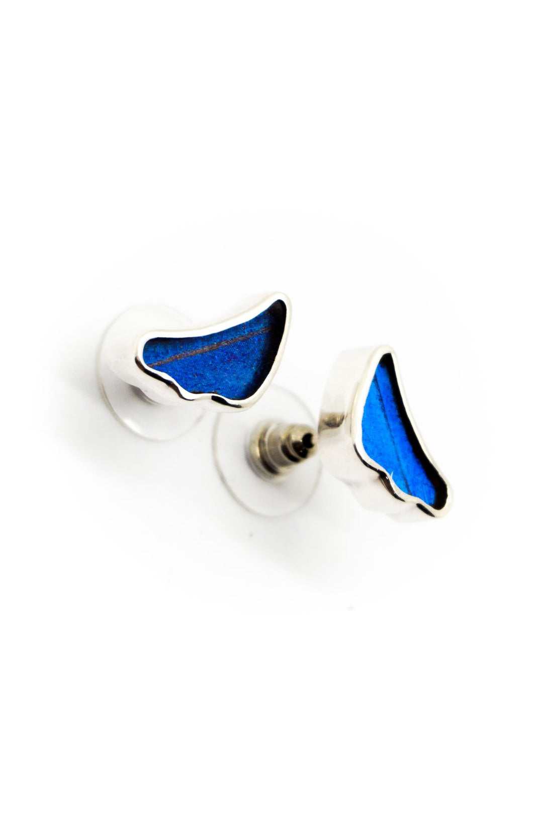 2--A-SA-3B-Silver-butterfly-earrings-Iridescent-Blue-Wing-Shaped-Morpho-Didius