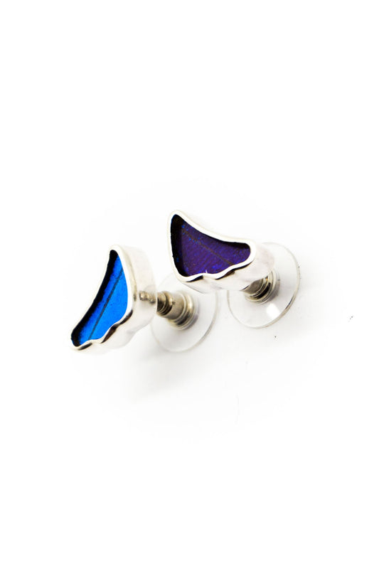 3--A-SA-3B-Silver-butterfly-earrings-Iridescent-Blue-Wing-Shaped-Morpho-Didius