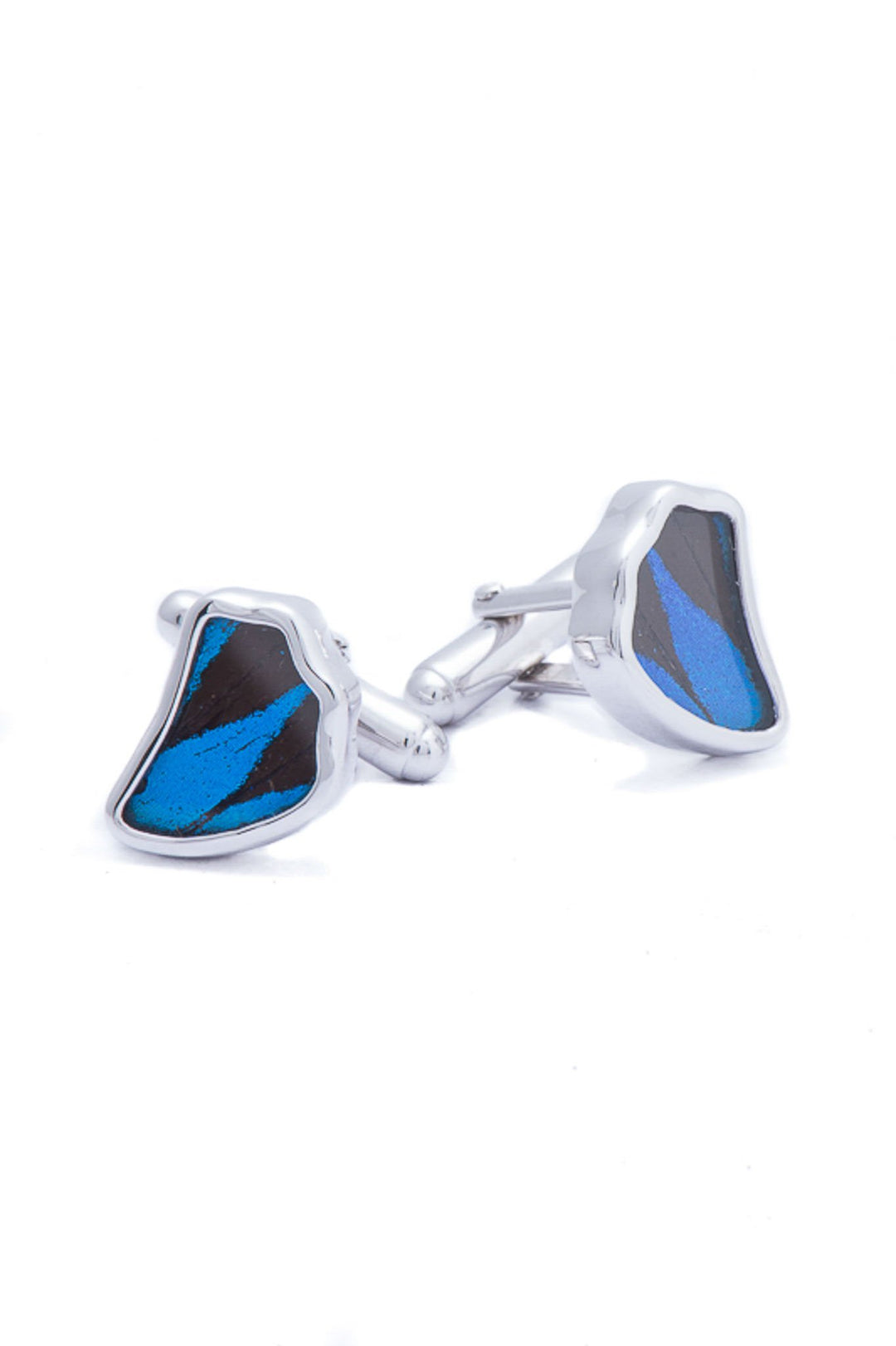 6--A-SA-1B-Silver-butterfly-cufflinks-Royal-Blue-Wing-Shaped-Papilio-Ulysses