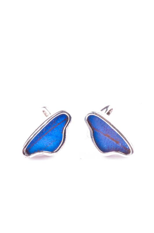 2--A-SA-3A-Silver-butterfly-cufflinks-Iridescent-Blue-Wing-Shaped-Morpho-Didius