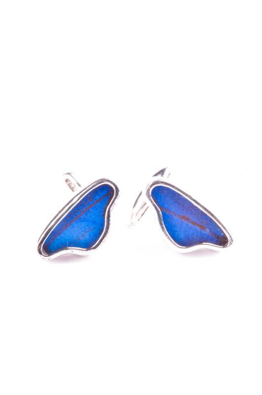 1-Real Butterfly Wings-A-SA-3A-Silver-butterfly-cufflinks-Iridescent-Blue-Wing-Shaped-Morpho-Didius