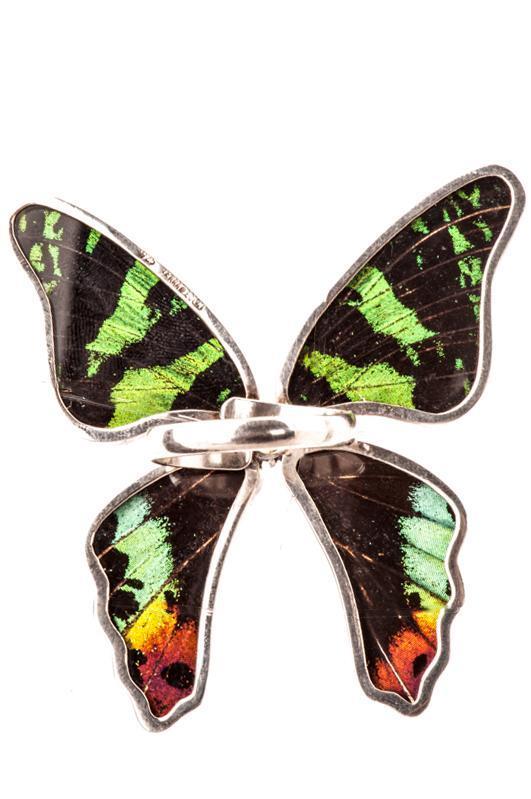 12--A-4D-3F-Silver-butterfly-ring-with-citrine-birthstone-Shimmering-Rainbow-Green-Chrysiridia-Madagascariensis