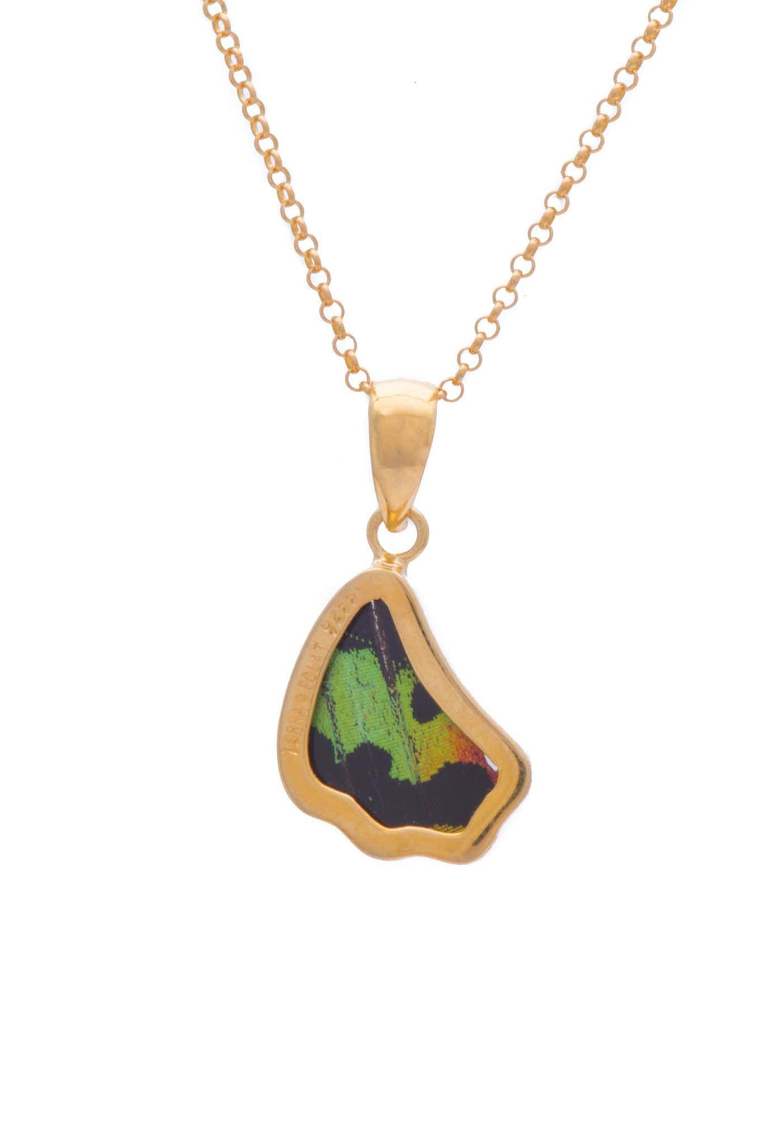 3--A-SB-1B-Gold-butterfly-pendant-Shimmering-Rainbow-Wing-Shaped-Chrysiridia-Madagascariensis-Bottom-wing