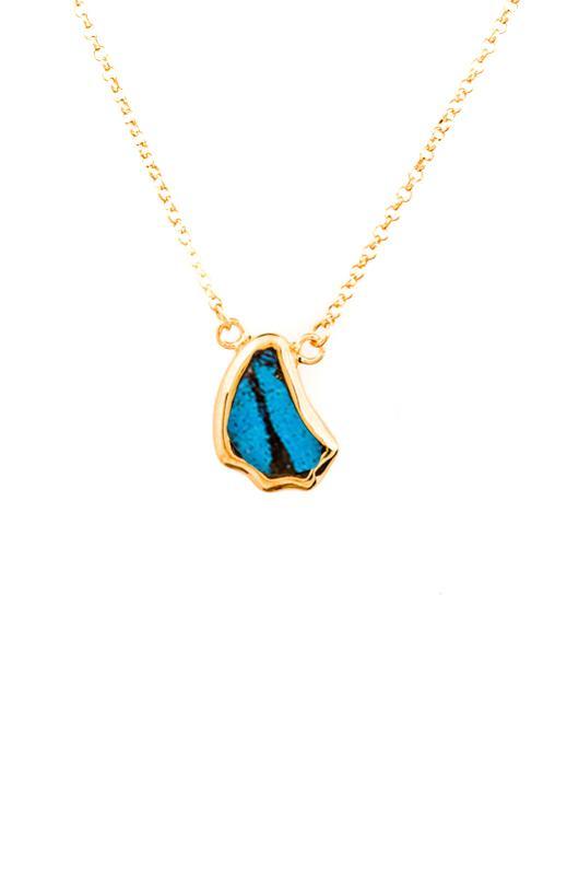 1-Real Butterfly Wings-A-SC-1B-Gold-butterfly-necklace-Royal-Blue-Wing-Shaped-Papilio-Ulysses