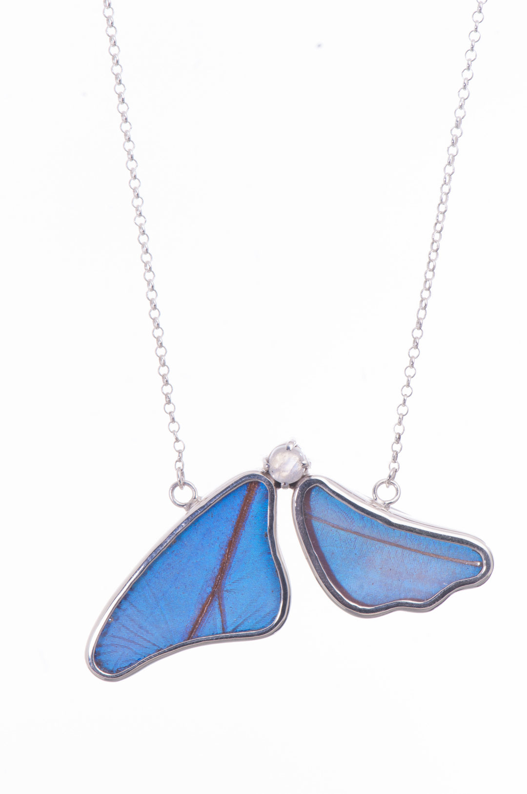 1-Real Butterfly Wings-A-2B-3F-Silver-butterfly-necklace-with-blue-topaz-birthstone-Iridescent-Blue-half-Morpho-Didius