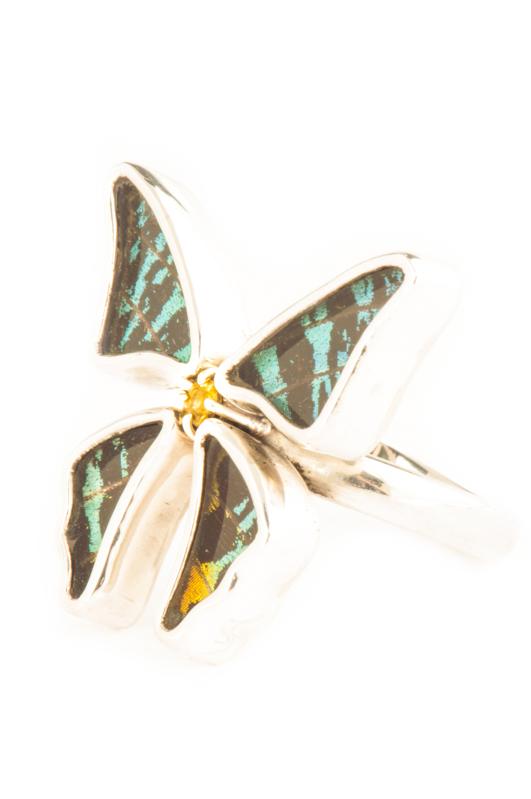 2--A-4D-3F-Silver-butterfly-ring-with-citrine-birthstone-Shimmering-Rainbow-Green-Chrysiridia-Madagascariensis