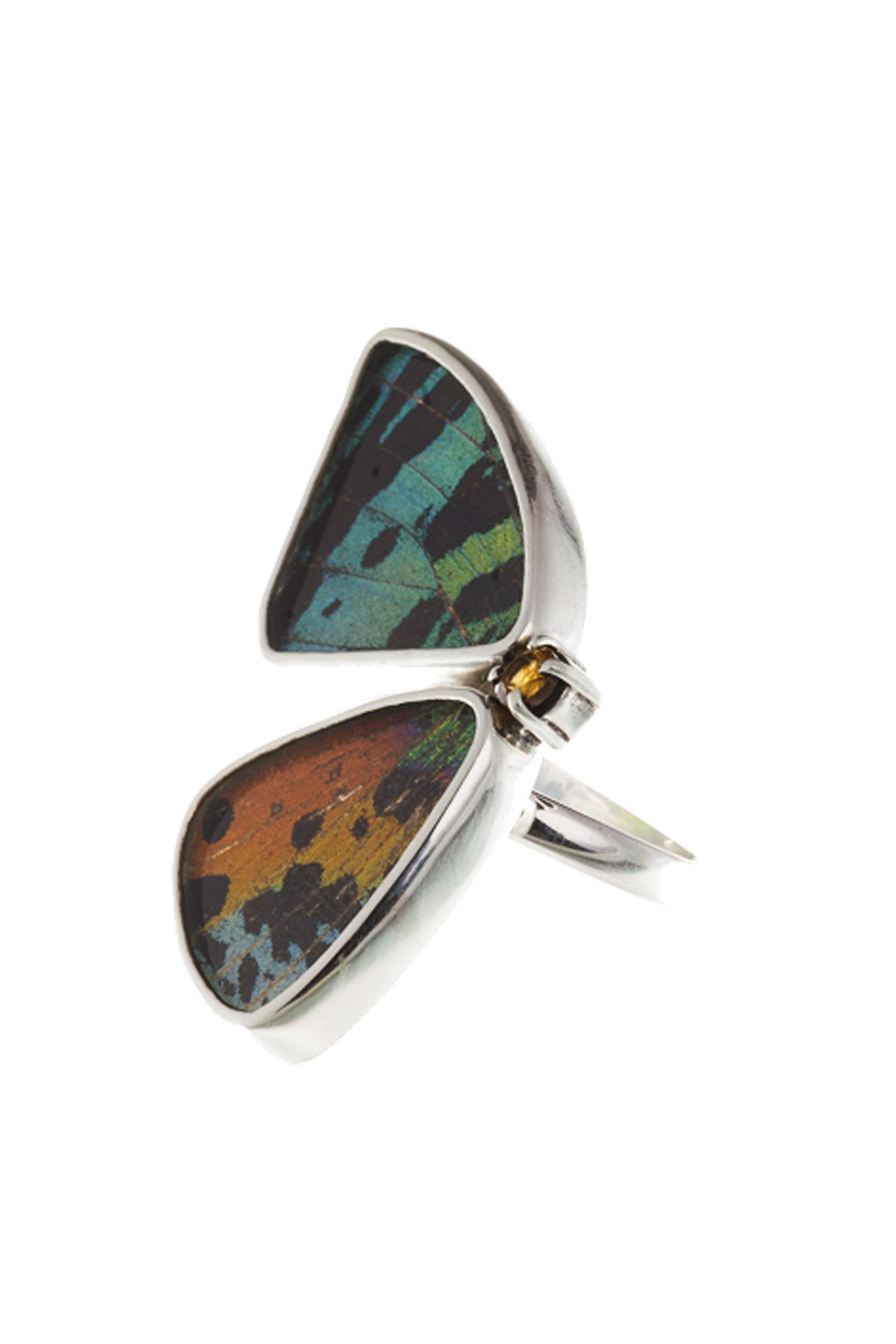 2--A-2D-2F-Silver-butterfly-ring-with-citrine-birthstone-Shimmering-Rainbow-Green-half-Chrysiridia-Madagascariensis