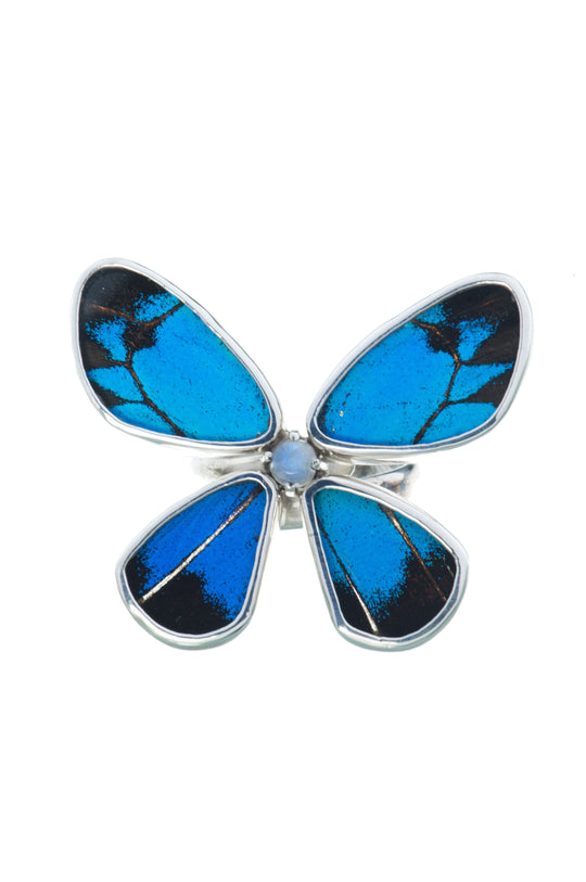 1-Real Butterfly Wings-A-4D-6F-Silver-butterfly-ring-with-blue-topaz-birthstone-Royal-Blue-Papilio-Ulysses